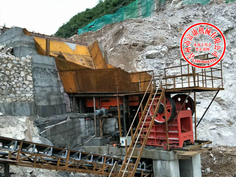 简易颚式草莓视频在线免费生产线